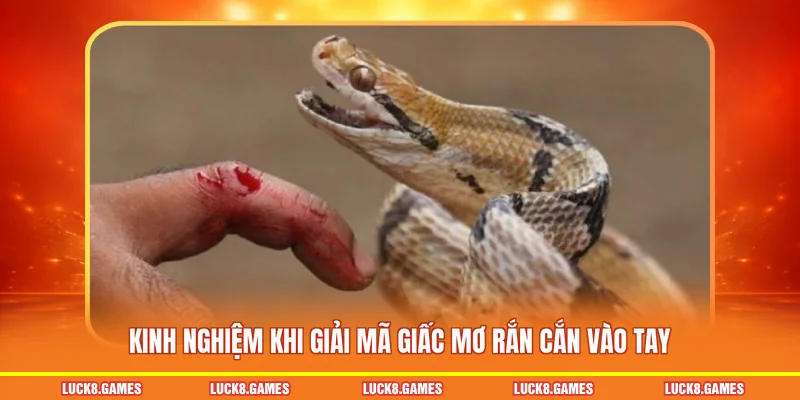 Kinh nghiệm khi giải mã giấc mơ rắn cắn vào tay